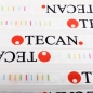 Preview: TECAN LANYARD WITH DOUBLE HOOK